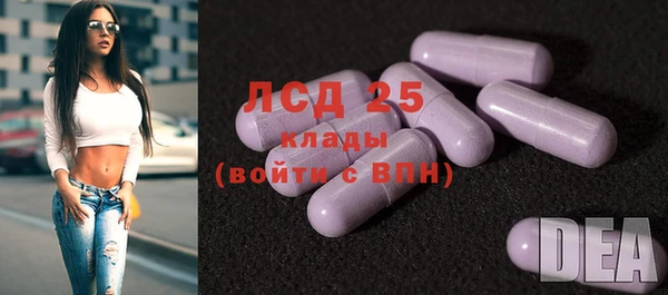 шишки Осташков