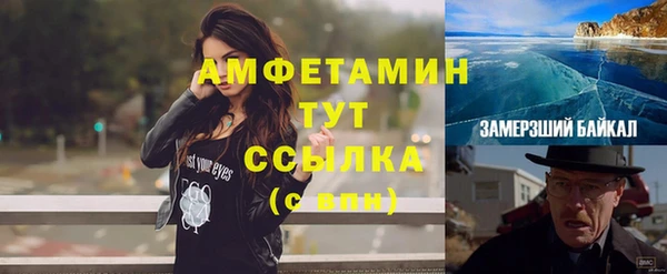 шишки Осташков