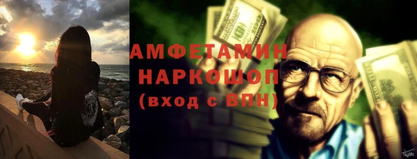 шишки Осташков