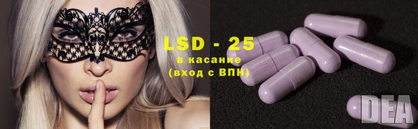 шишки Осташков