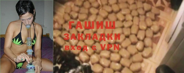 шишки Осташков