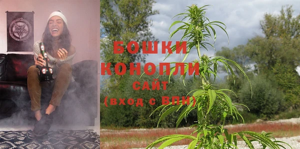 молекула духа Осинники
