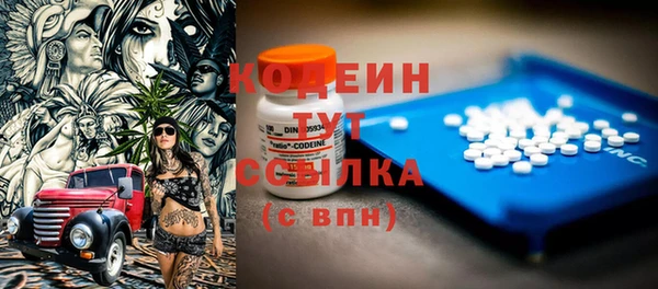 шишки Осташков