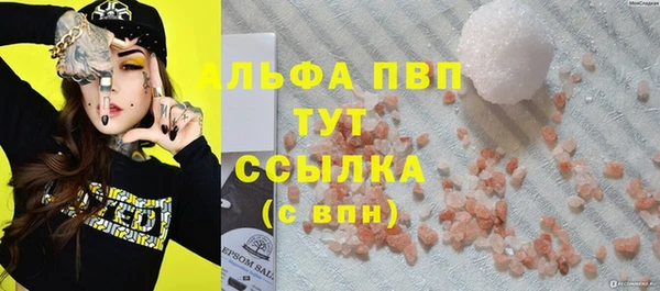 шишки Осташков
