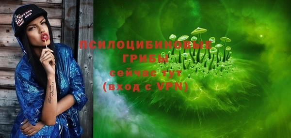 молекула духа Осинники