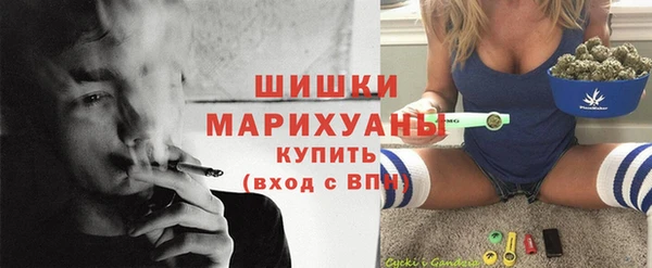 молекула духа Осинники