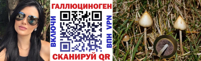 Псилоцибиновые грибы GOLDEN TEACHER OMG tor Поронайск